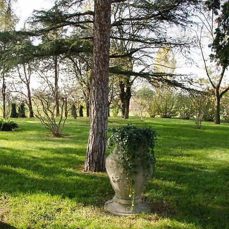 萨韦纳河畔圣拉扎罗Podere San Giuliano别墅 外观 照片