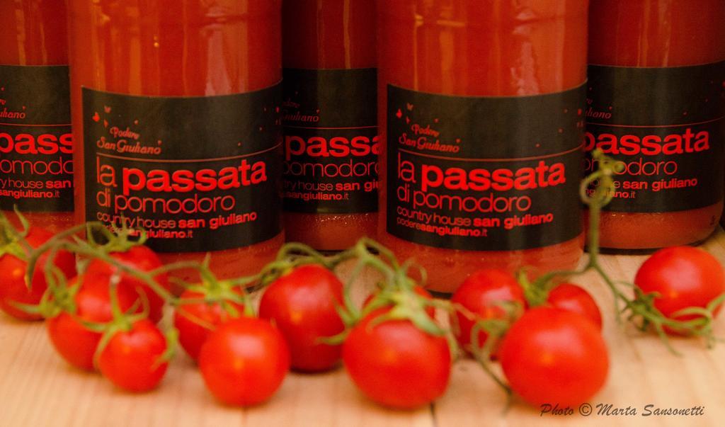 萨韦纳河畔圣拉扎罗Podere San Giuliano别墅 外观 照片