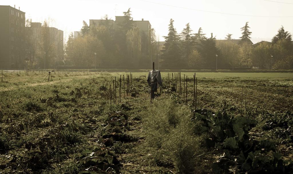 萨韦纳河畔圣拉扎罗Podere San Giuliano别墅 外观 照片