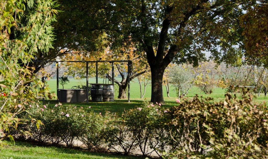 萨韦纳河畔圣拉扎罗Podere San Giuliano别墅 外观 照片